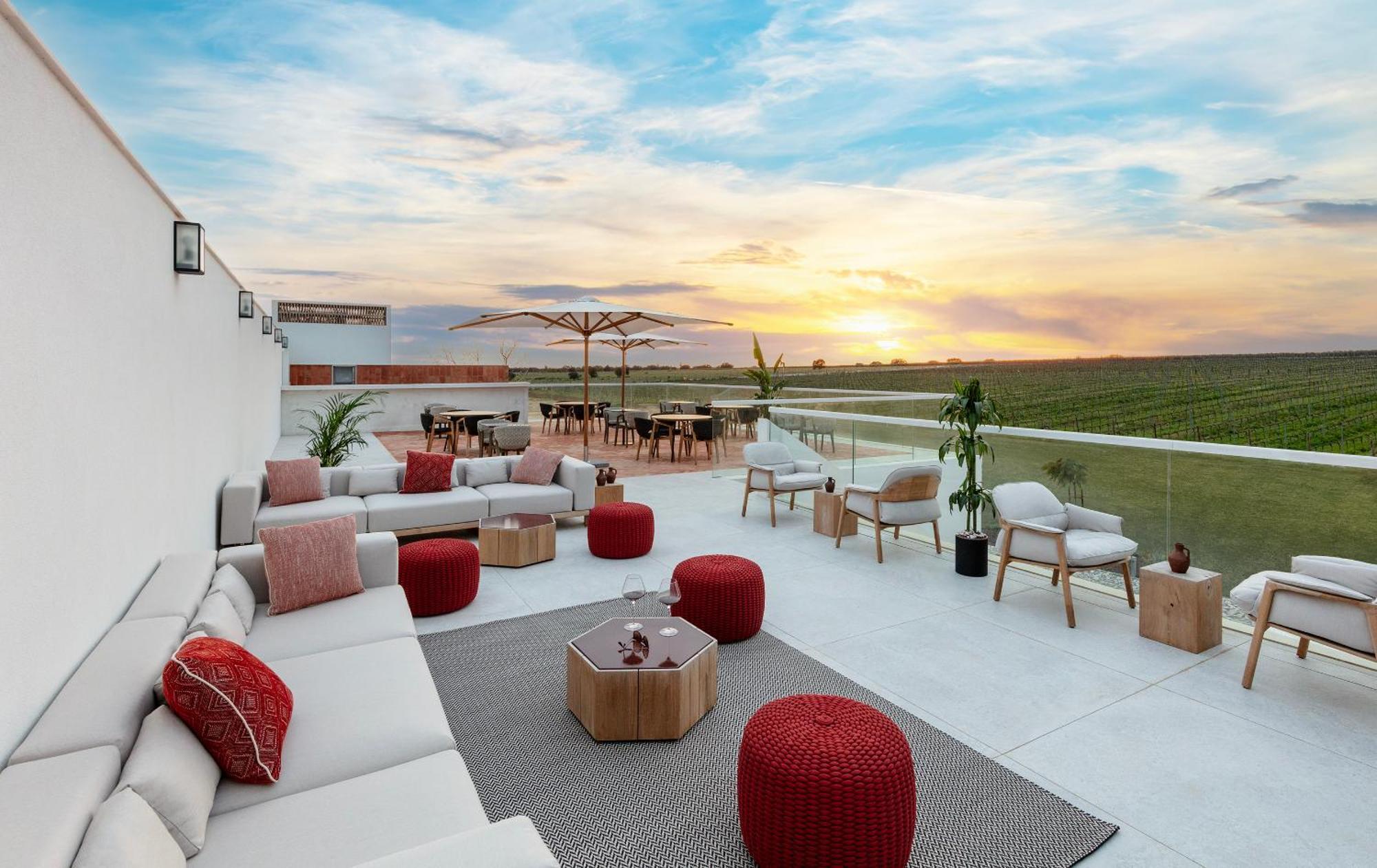 Quinta Do Paral - The Wine Hotel Видигейра Экстерьер фото